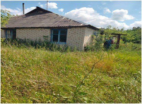 � ������ ���������� ����������� ����� (���������) ������������ �� 2024-2026 ��. �� 05 ������� 2026 ���� ��������� ����� �� ������� ���������� ������� ����������� ���������: