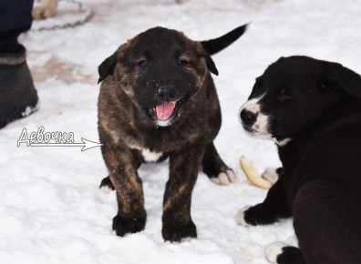 ����� �������� ���� ������ � ������