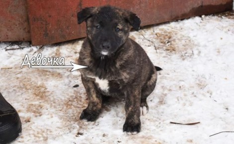 ������� ������������� �������� ���������� ����� ������