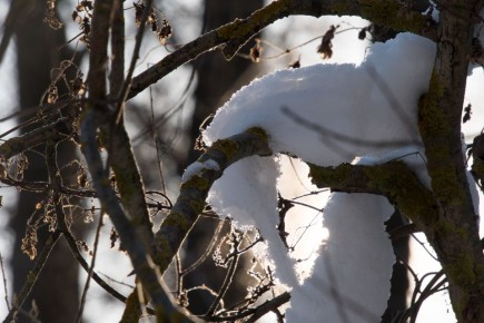 � ���������� ���� � ������� ������� ��������� ������ �� -24 ��������