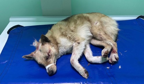 ��� ������� ����������� ����� � �������� � ����� �� �������