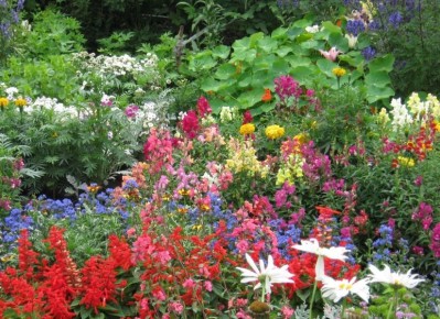 ���������: ��������� ����������, ������� ������� ��� ���