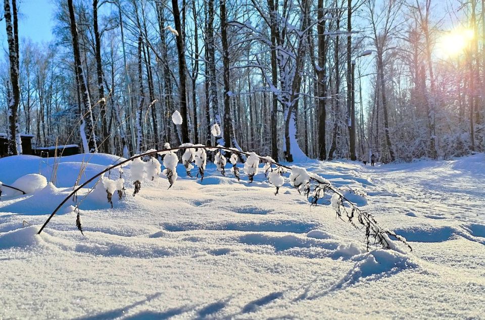 ������ ����! ��������� ������� ���!