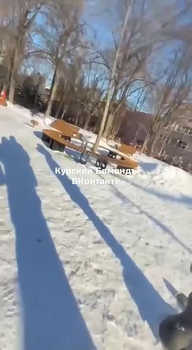 В Курске школьники восстановили поврежденные фигуры в парке Пионеров