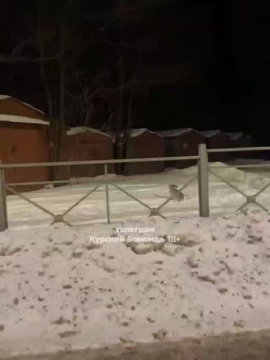 ����� ������ ��������� ������� �� ����