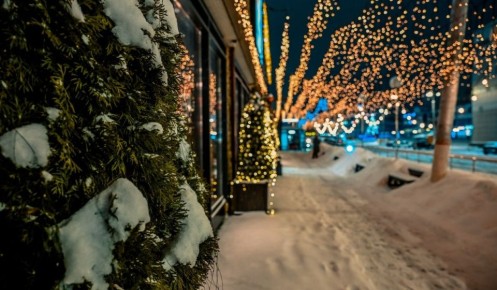 � ������� ������� 22 ������ ��������� ���� � �����