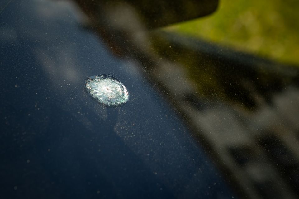 � ������ ����� ������������ ������ ����� �� ���������� ����������