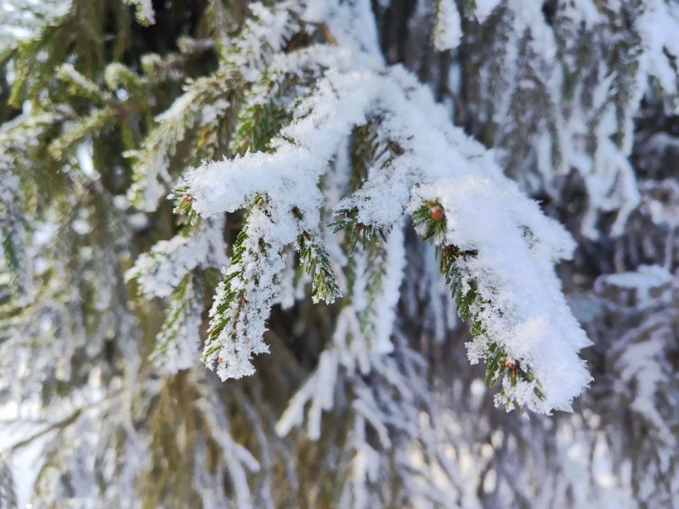 ������ ����!. ����� - ������� �������� ������