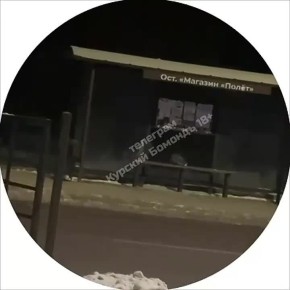 � ������ ������� ���� ���������� � �������� �� ��������� �� ����� �������