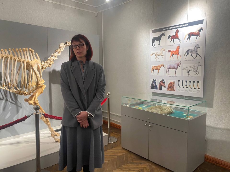 ������ ����� ������ ������ � �������