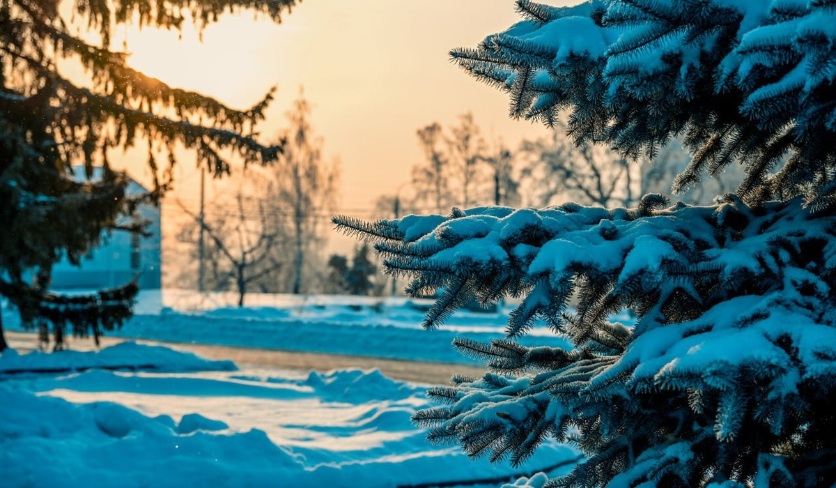 В Курской области 23 января ожидается облачная погода и небольшой снег ночью