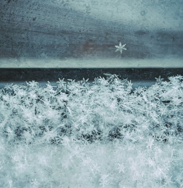 На Курскую область могут обрушиться 30-градусные морозы