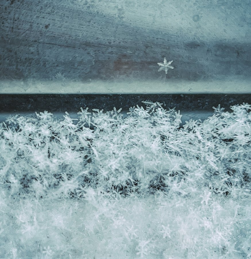 Синоптики предупреждают о том, что к концу месяца на Центральную Россию могут обрушиться самые сильные с начала этой зимы морозы