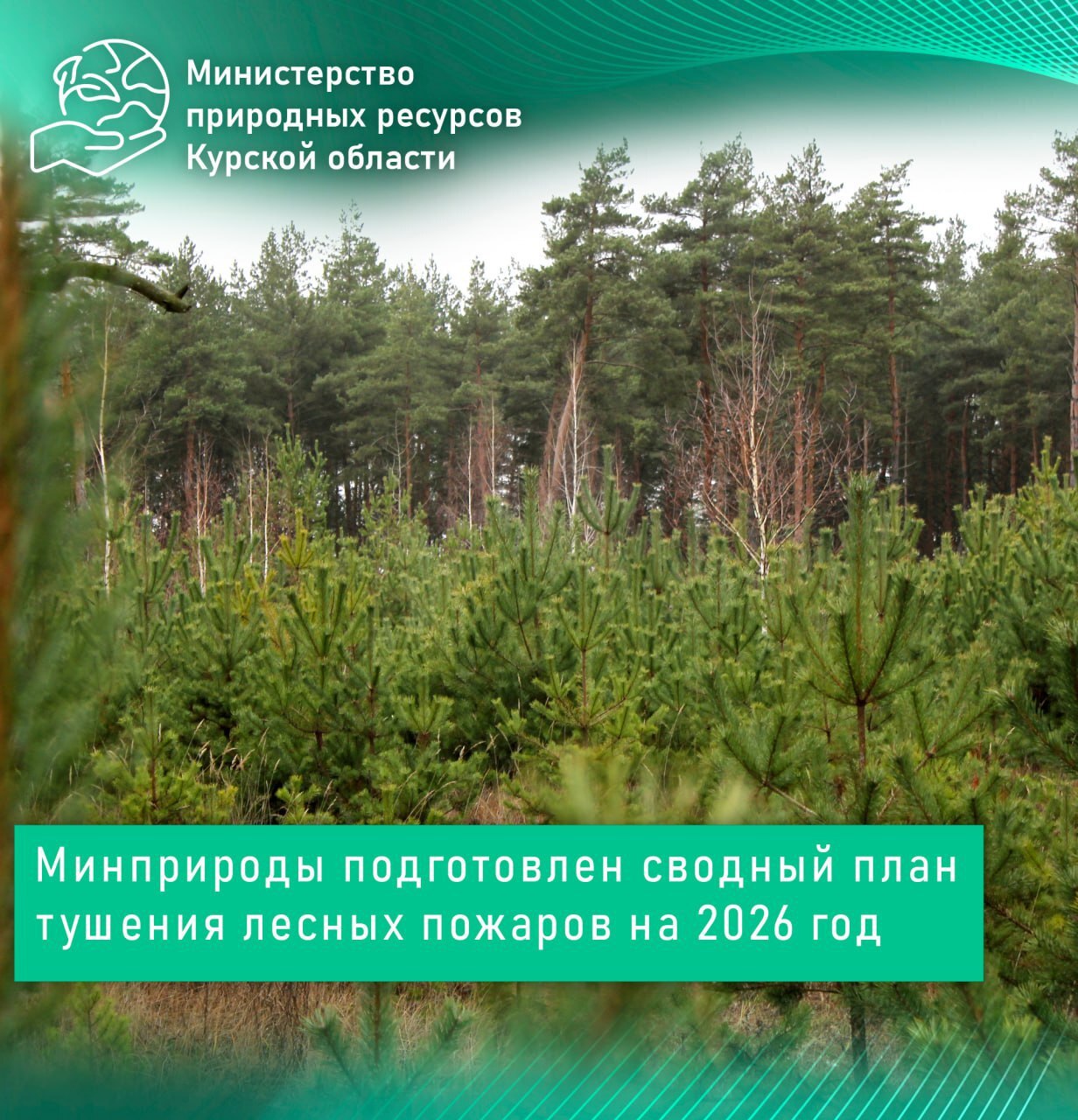 Минприроды подготовлен сводный план тушения лесных пожаров на 2026 год