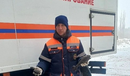 � ������� ��������� ������� ������� ���������� ���������� ���� � �������