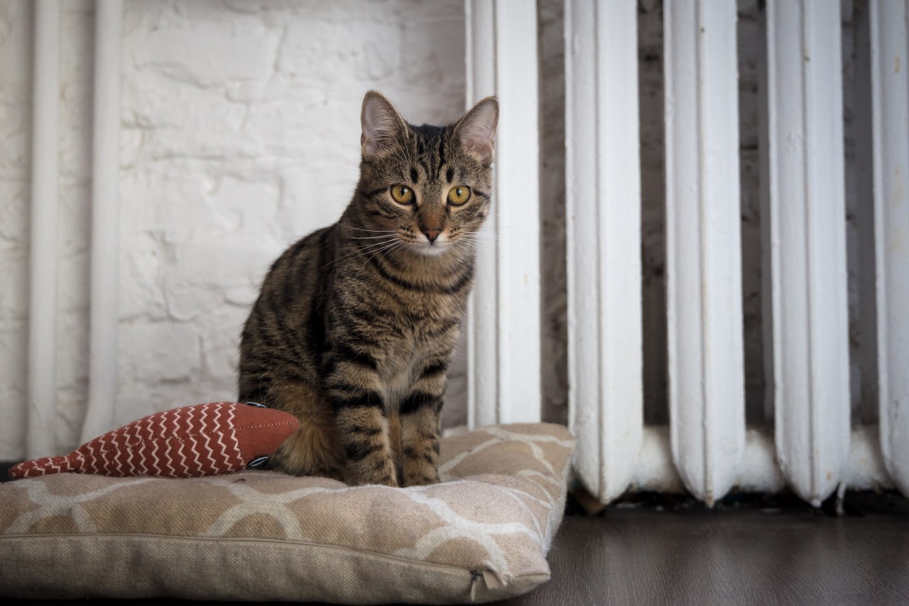 На трех улицах в центре Курска до 18.00 приостановлено теплоснабжение