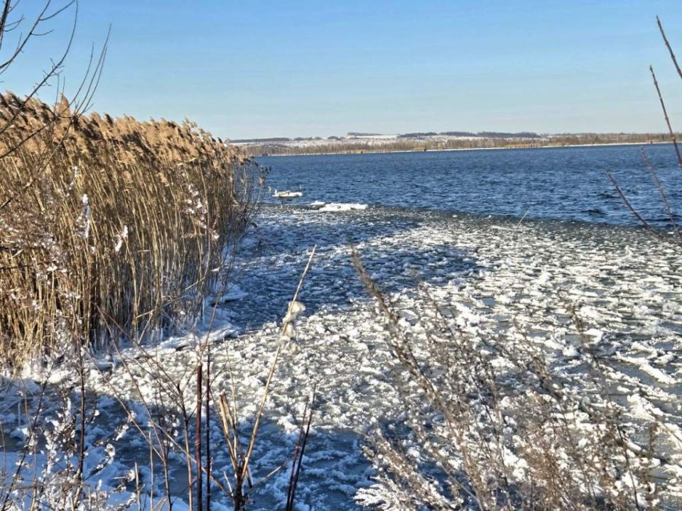 ������ ����� ����� �� ���� �������� ������: ��������� �����������