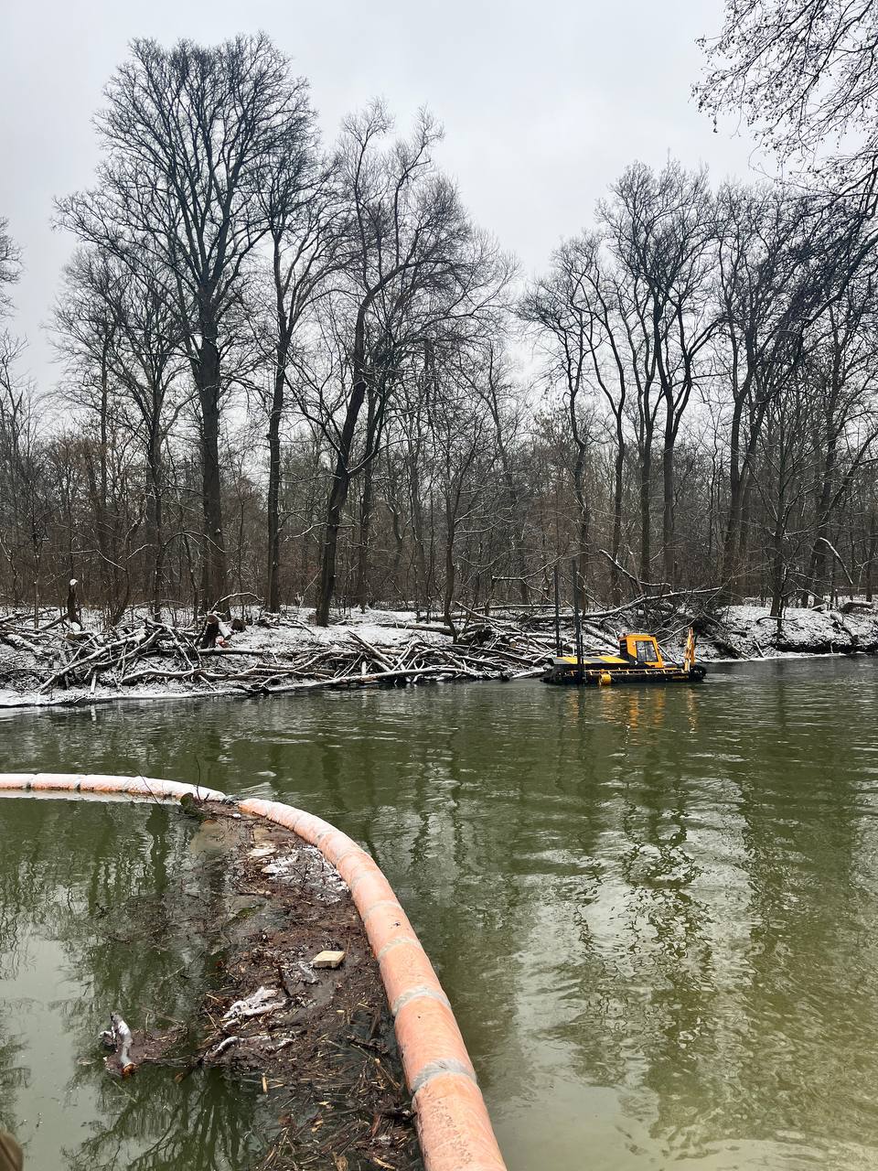 Прокуратура Центрального административного округа г. Курска выявила нарушения лесного законодательства