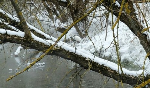 � ������ � ������ ����� �������� ����� �����