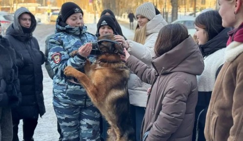 � ������� ������� �������� ������������� � ������� �������