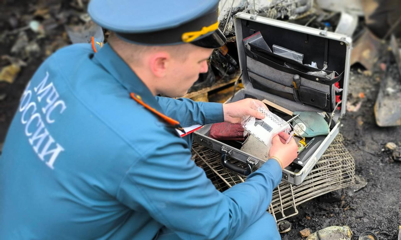 В системе МЧС России более 2 800 дознавателей