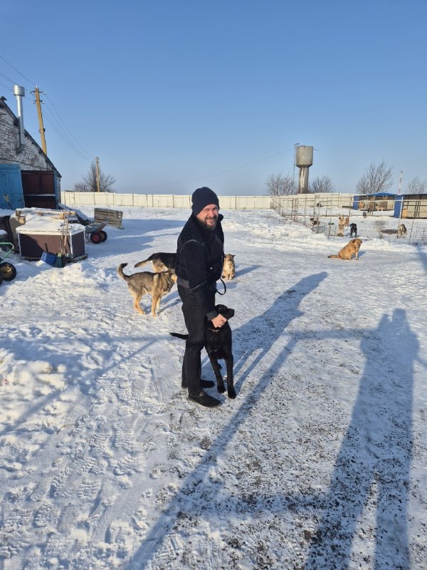 #ЗащитаЖивотногоМира. Один пост – и у собаки новый дом Недавно Курский государственный аграрный университет в соцсетях делился фотографиями подопечных курского приюта «Право жить»