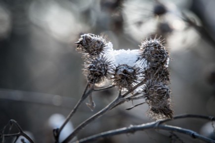 � ������� ������� ��� ����� ������� �������