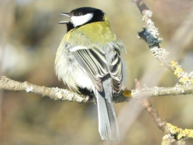 � ������ ������ ������� ������