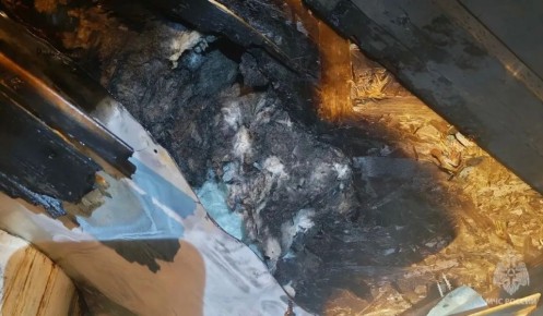 � ������ �� ����� ��������� ������� 24 ������ ������� ����