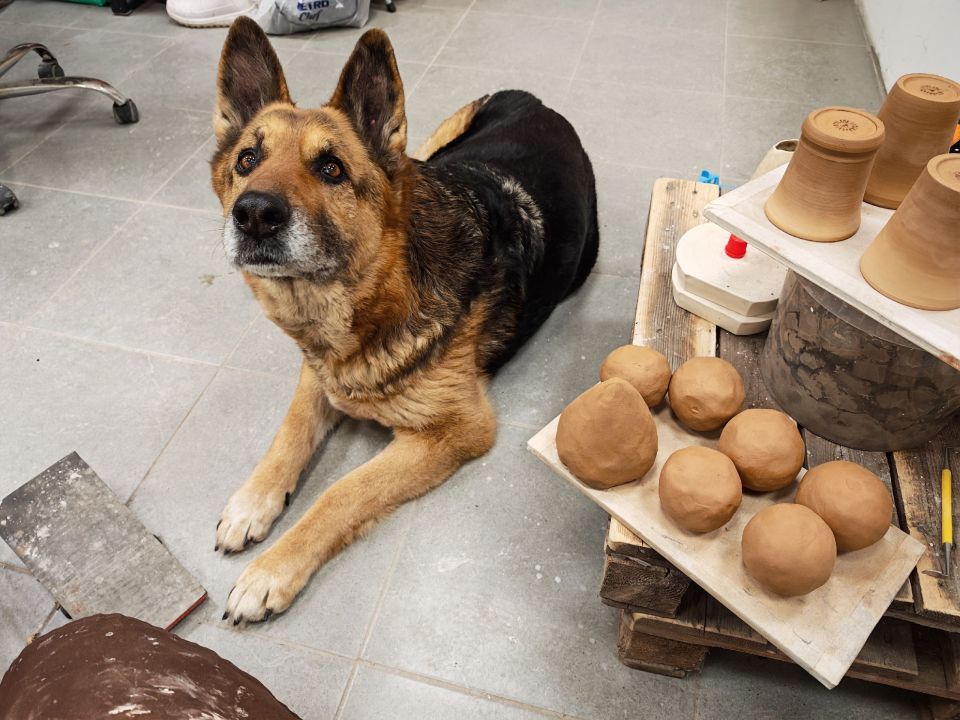 Пост для настроения в этот морозный понедельник