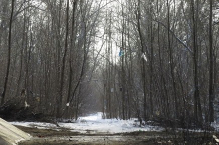 �������� ���� � ��������� ����: ������� �������� �������� � �������� ������� �������