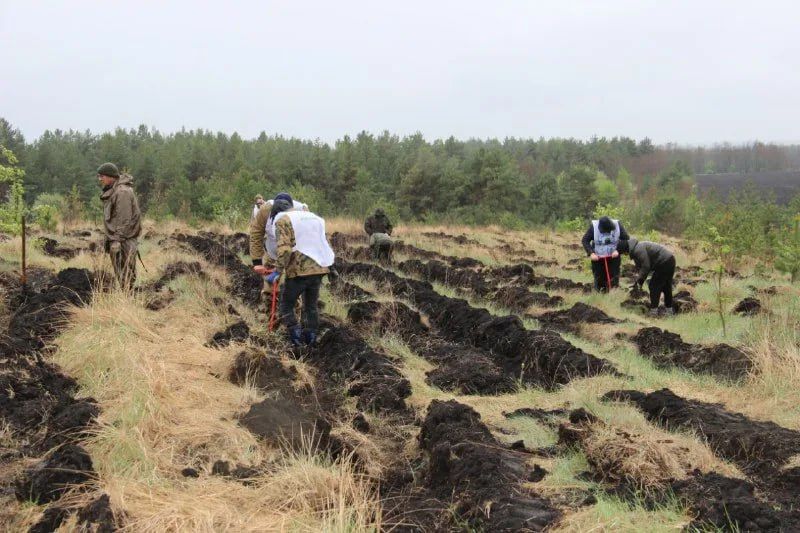 � ������� ������� ������������ ����� 190 �������� ����