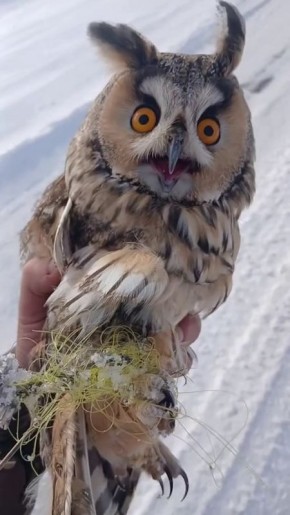 � ������������ ������� ������� ������� �������� ����� �����