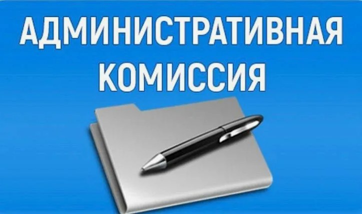 На первом в наступившем году заседании административной комиссии и рассмотрены протоколы об административных нарушениях по ст.47 «Нарушение спокойствия граждан в ночное время» Закона Курской области от 04.01.2003 №1-ЗКО «Об...