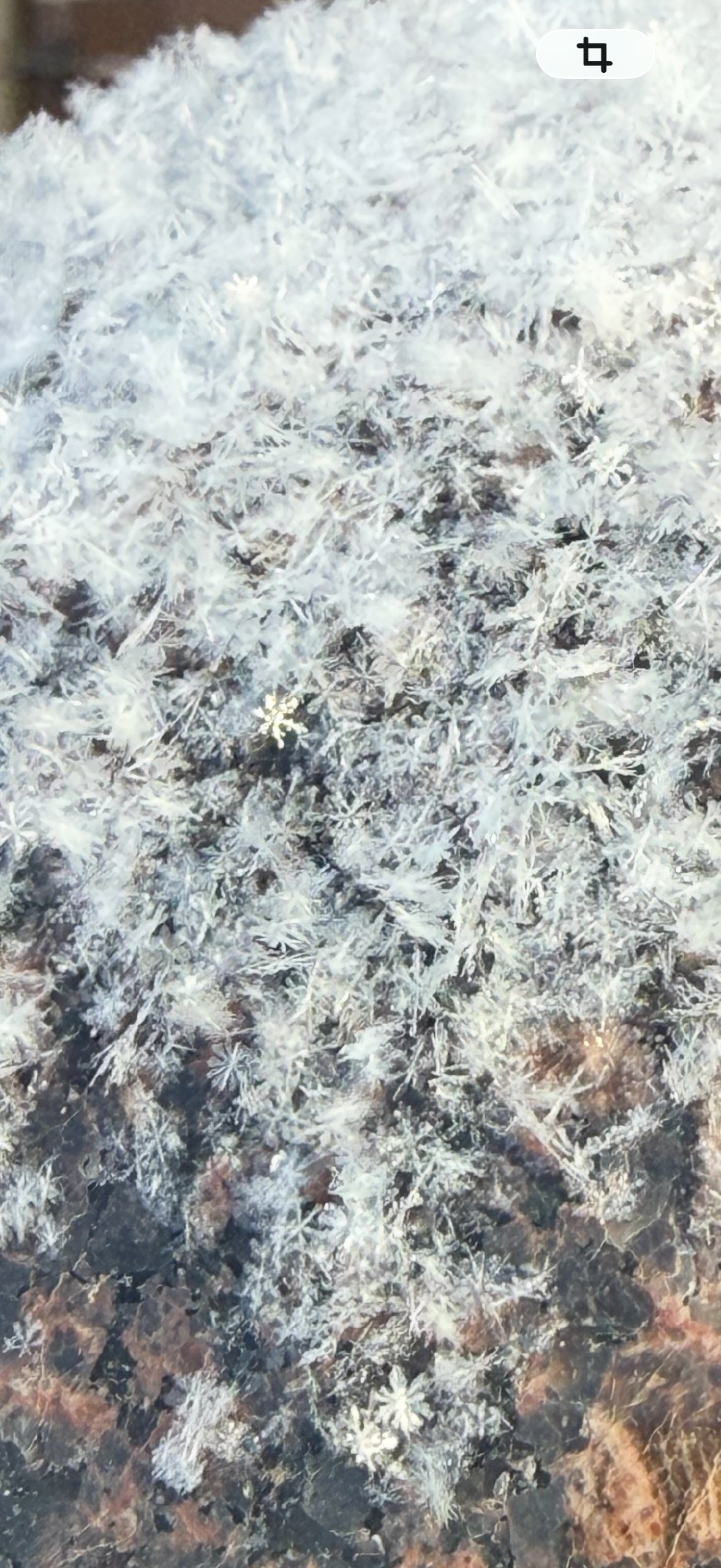 Доброе утро!. Сегодня, во вторник, 27 января, по прогнозу регионального отделения МЧС, в Курской области облачно, ночью с прояснениями