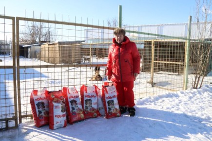 ���������� �������� ���� � ����� ��� ��������� �������� ������� �����