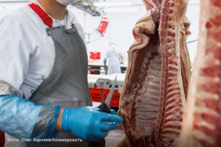 � ����������� ������� �����: ���������� ������� ��� ����� ����� �������������������� ����� �� 2,5 ����