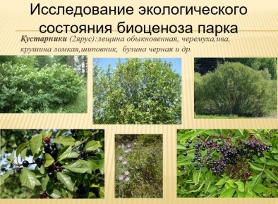 ������� ����������� �������� ������� � ����������