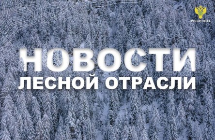 Парламентская Газета: Сенаторы обсудят вопросы развития лесного хозяйства