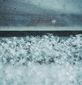 В Курской области 30 января похолодает до -15 и будет очень скользко