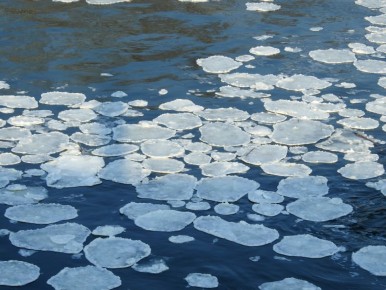 ������� ����������� ������ ����� � ����� ������ � ��������� ������� �� Ҹ���� ������