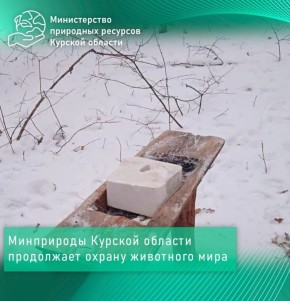 � ������� ������� �� ������ ��������� ������ �����������