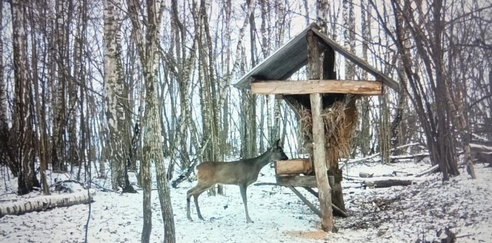 � ��������� ��� � ������� ������� ��������� ���������� ������