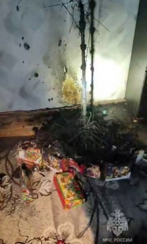 � ������ 29 ������ ���������� ���� ���� �� ������� ��������