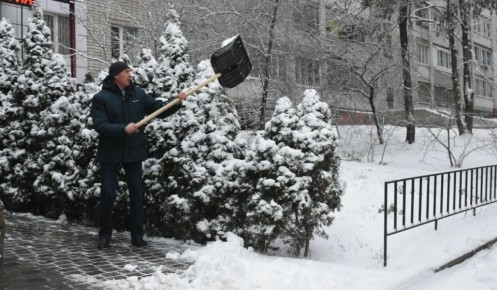 � ������� ������� ������� 53 ��������� ������ ����� �� ������ �� �����