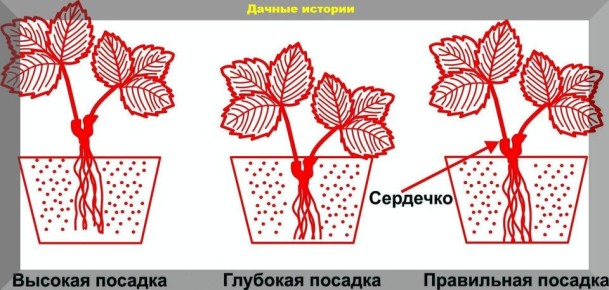 ��� ��������� ��������� �� ���������: ������� ������ ��� ��������