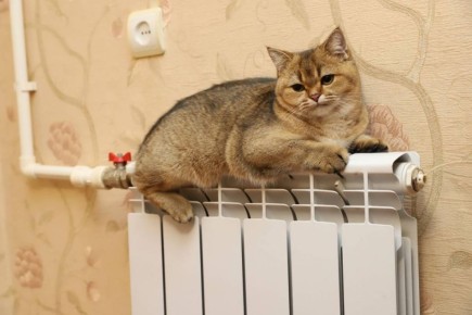 �. �. ����������� ������� ������� ���������� ���������� ������ �������� � ������ ��������������