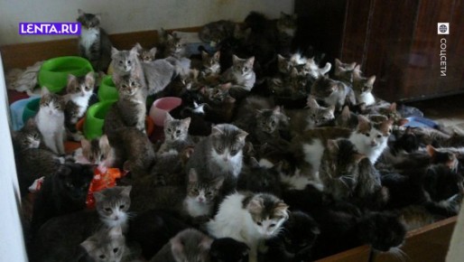 � ������ ����� ���������� ����� ����������� �� ���������� �������� ��������