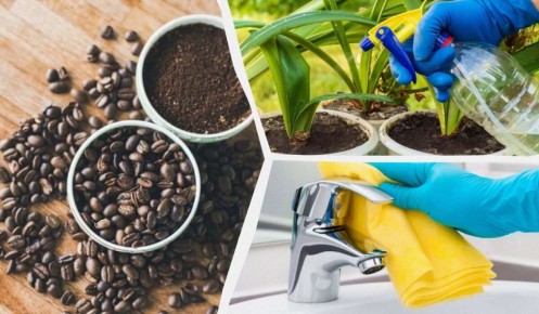 �������� ����: ������������ ������� ������������� ��� ���� � �������