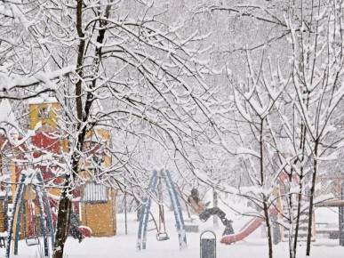 ������������ ��������� ��� ������� � 1 �������: �������, ������� � ������������